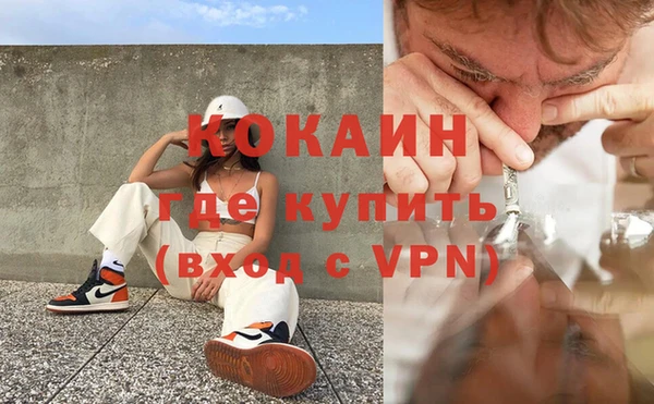 стаф Волосово