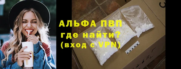 молекула духа Вяземский