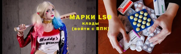 бошки Вязьма