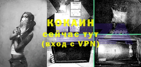 молекула духа Вяземский