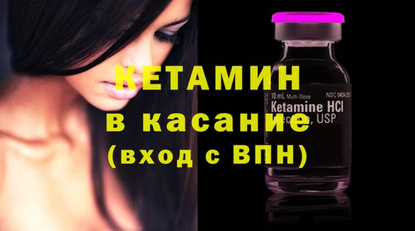 шишки Бородино