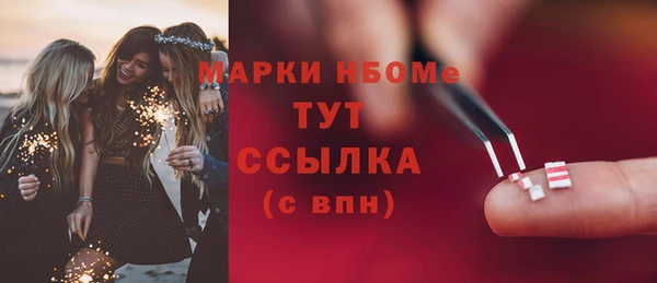 молекула духа Вяземский