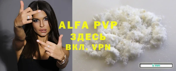 молекула духа Вяземский