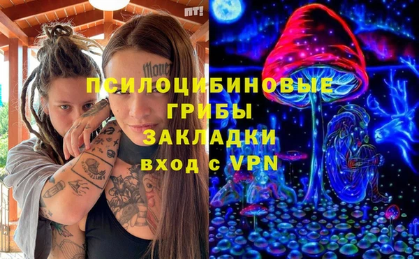 молекула духа Вяземский
