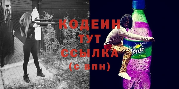 молекула духа Вяземский