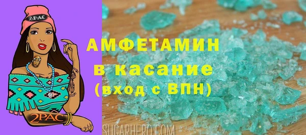 молекула духа Вяземский