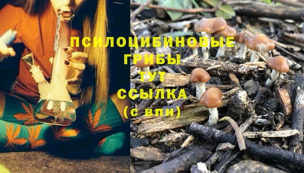 стаф Волосово
