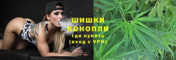 стаф Волосово