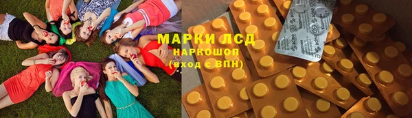 стаф Волосово