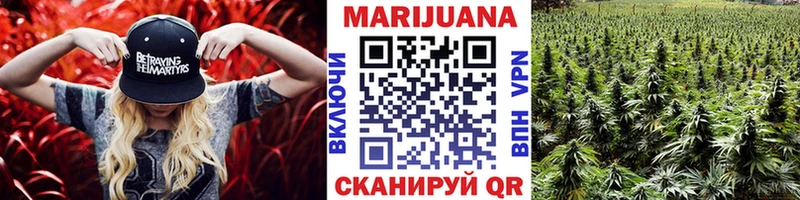 Бошки марихуана Amnesia Зима